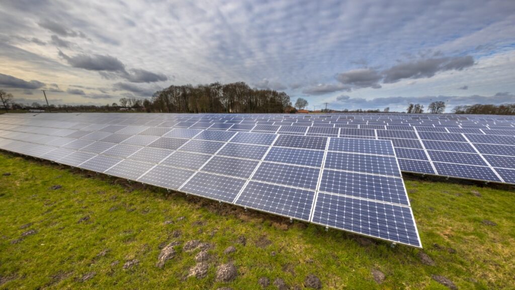 campo de placas solares